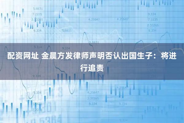 配资网址 金晨方发律师声明否认出国生子：将进行追责